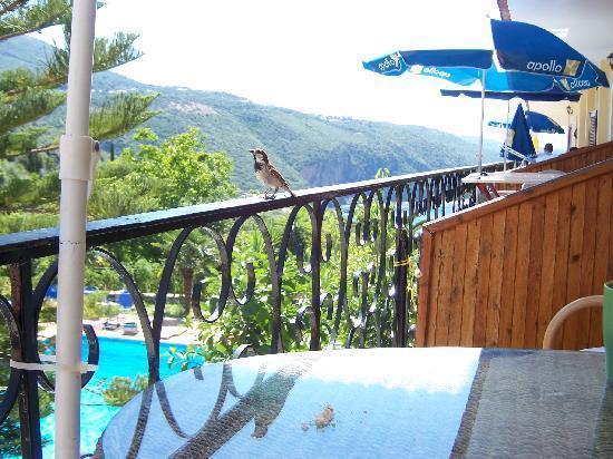 Bella Vista Hotel And Apartments Parga Exterior foto